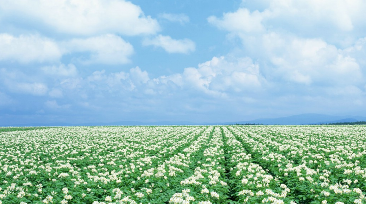 华为商店开户怎么做?华为信息流广告 华为商店开户怎么做?华为信息流广告