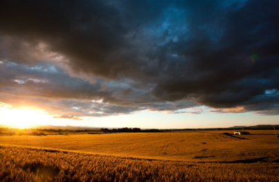 在华为商店投放信息流广告需要什么资质? 在华为商店投放信息流广告需要什么资质?