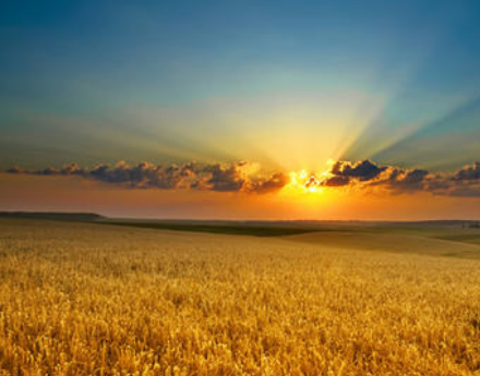 想在华为手机的浏览器上投放广告，应该找哪里呢？