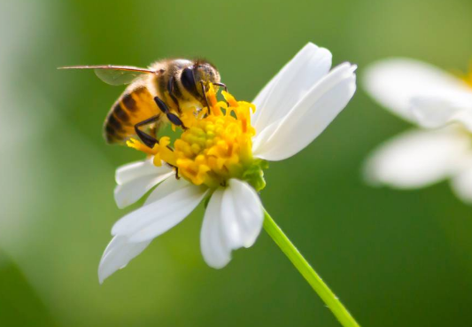 你永远也追不上华为广告的30秒。 你永远也追不上华为广告的30秒。