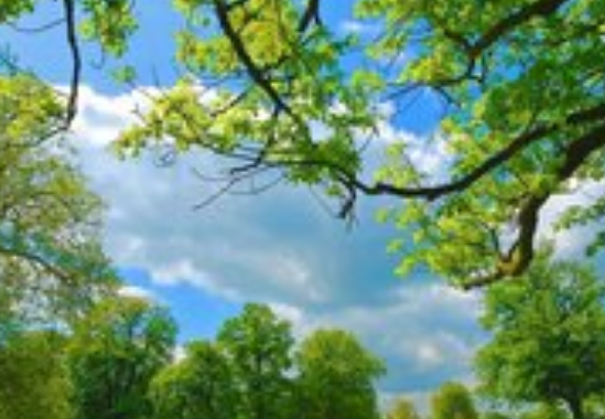 雀巢咖啡在华为推广信息流需要什么资质? 雀巢咖啡在华为推广信息流需要什么资质?