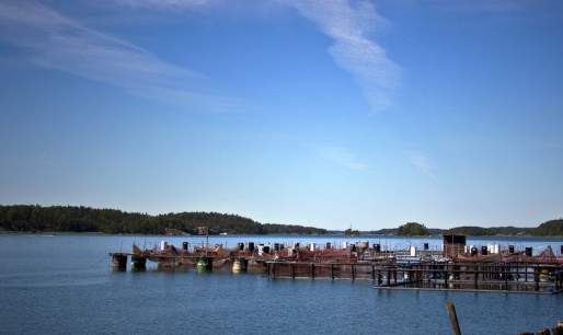 饮料行业在华为怎么做信息流广告投放? 饮料行业在华为怎么做信息流广告投放?