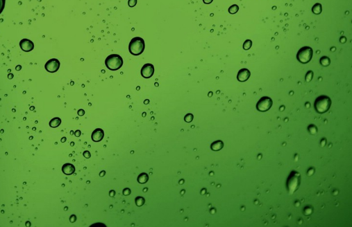 上海减肥行业在华为商店怎么开户? 上海减肥行业在华为商店怎么开户?