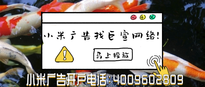 获取小米广告账户操作记录 获取小米广告账户操作记录