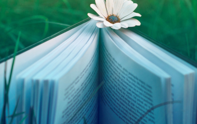 小米商店账户怎么开通?开户优惠活动 小米商店账户怎么开通?开户优惠活动