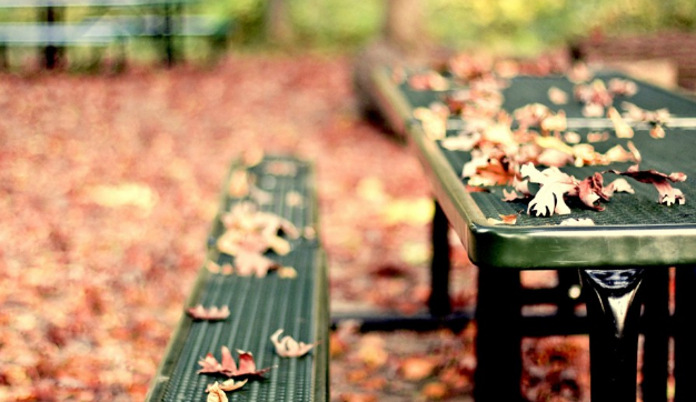 小米商店账户怎么开通?开户优惠活动 小米商店账户怎么开通?开户优惠活动