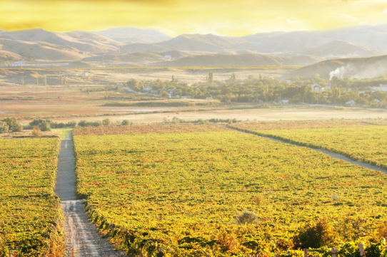 小米信息流广告怎么做?在长沙跑翡翠效果如何? 小米信息流广告怎么做?在长沙跑翡翠效果如何?