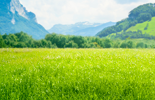 小米信息流广告是如何推动制造业转型？