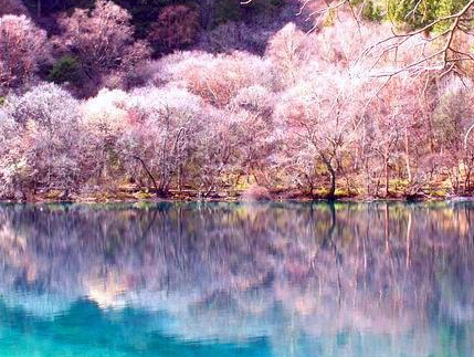 小米广告全国有哪些代理商?小米推广效果好吗? 小米广告全国有哪些代理商?小米推广效果好吗?