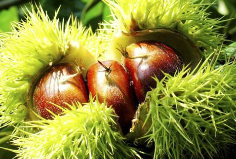 如何应对海外小米广告引发的争议? 如何应对海外小米广告引发的争议?