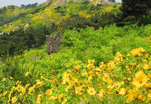 小米信息流广告跑奶粉现在效果怎么样？