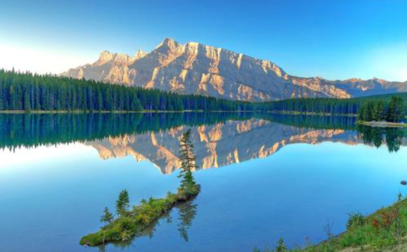 小米推广案例和小米广告展现形式。