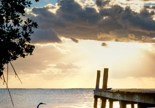 小米商店广告流程是什么?小米广告怎么投放? 小米商店广告流程是什么?小米广告怎么投放?