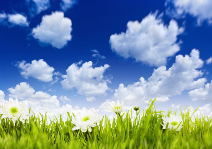 上海茶叶在小米商店广告怎么开户？