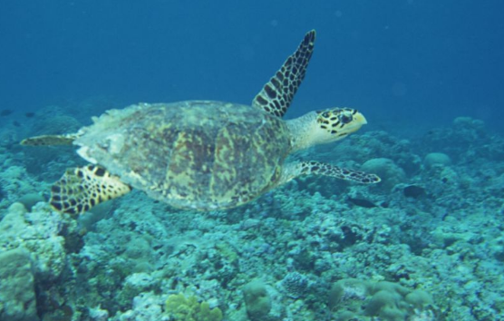 在长沙智能家居投放小米广告有什么政策? 在长沙智能家居投放小米广告有什么政策?