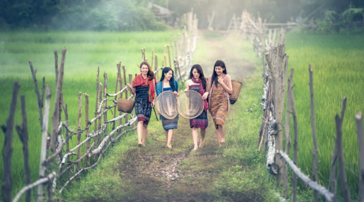 魅族信息流广告竞价多少钱?魅族商店开户客服电话是多少? 魅族信息流广告竞价多少钱?魅族商店开户客服电话是多少?