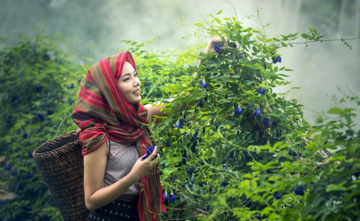 魅族代理商电话是多少?魅族现在跑财务用品成本需要多少? 魅族代理商电话是多少?魅族现在跑财务用品成本需要多少?