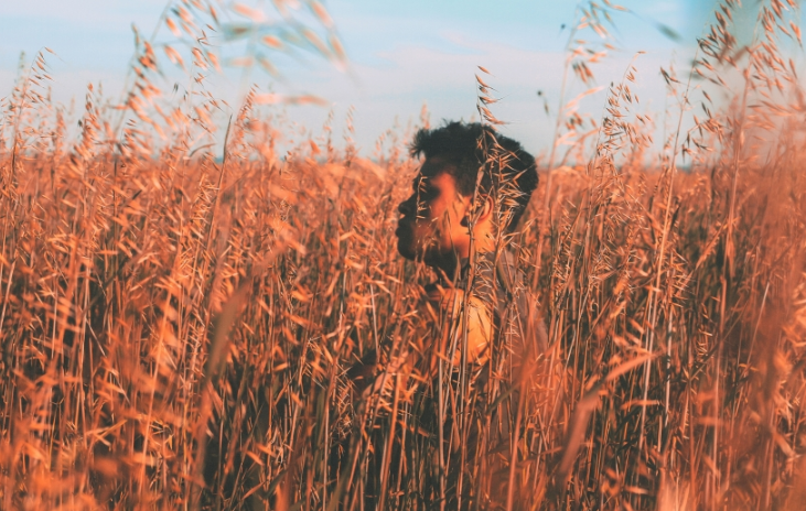 魅族代理商电话是多少?魅族现在跑财务用品成本需要多少? 魅族代理商电话是多少?魅族现在跑财务用品成本需要多少?