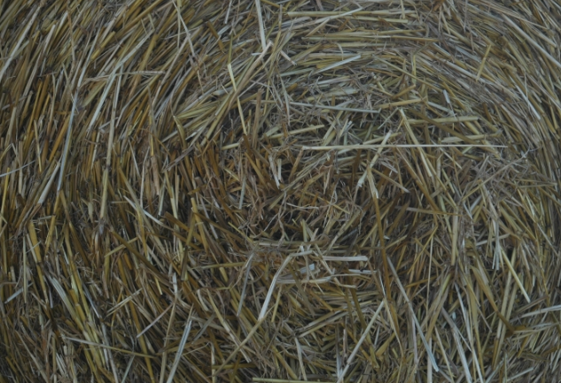 魅族推广方式有哪些？魅族投放推广电话是多少？