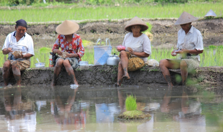 魅族推广方式有哪些？魅族投放推广电话是多少？