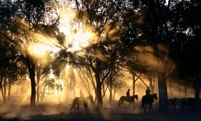 魅族商店开户客服电话是多少?魅族推广电话是多少? 魅族商店开户客服电话是多少?魅族推广电话是多少?