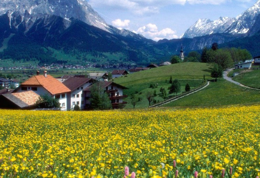 魅族广告怎么做?在北京魅族广告怎么开户? 魅族广告怎么做?在北京魅族广告怎么开户?