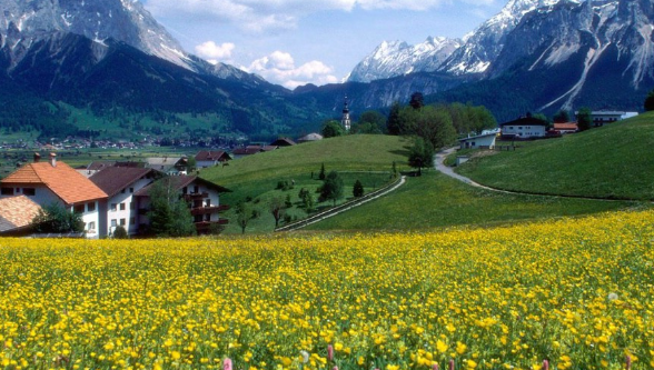 魅族推广怎么做？跑减肥行业效果好吗？