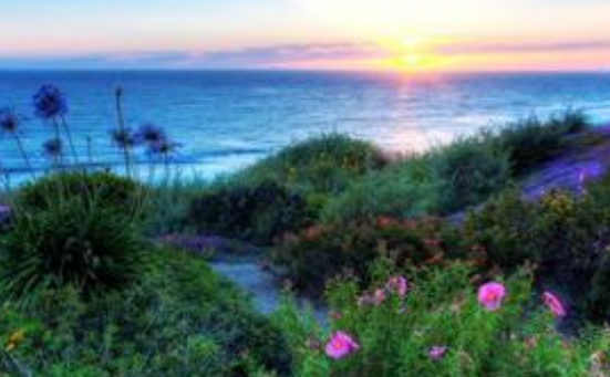 在魅族做信息流广告效果好不好? 在魅族做信息流广告效果好不好?