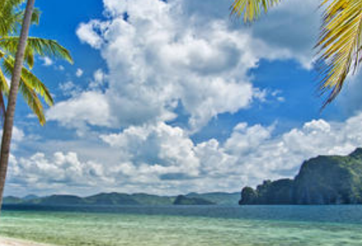 魅族推广怎么收费?推广政策。 魅族推广怎么收费?推广政策。