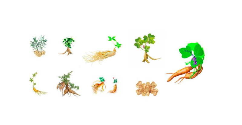 uc头条推广好创意+好工具=小成本+高转化 uc头条推广好创意+好工具=小成本+高转化