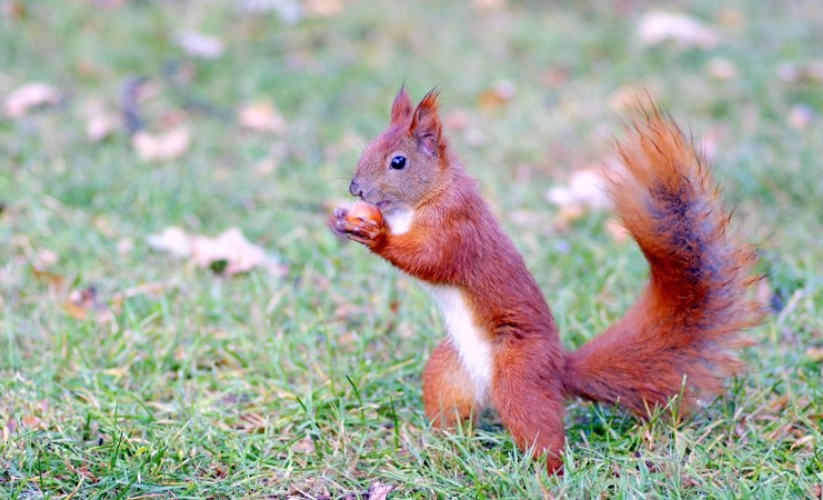 uc平台广告投放跑广告效果好不好?uc广告电话是多少? uc平台广告投放跑广告效果好不好?uc广告电话是多少?