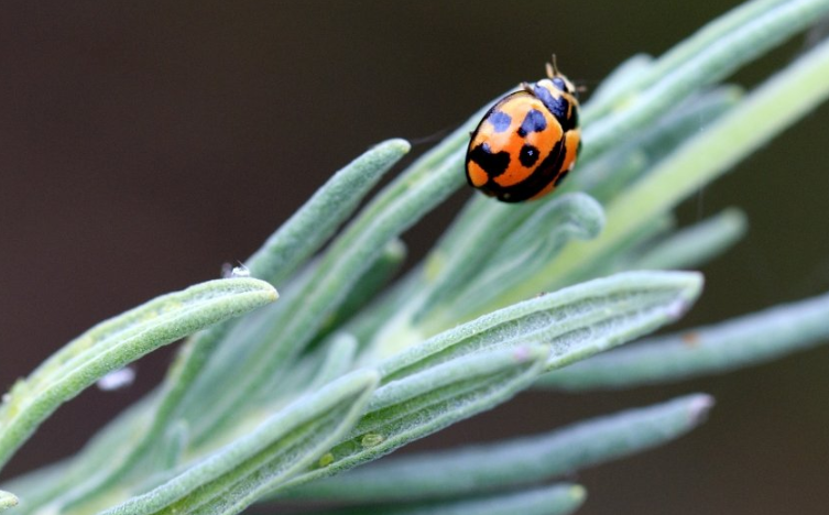 uc平台广告投放跑广告效果好不好?uc广告电话是多少? uc平台广告投放跑广告效果好不好?uc广告电话是多少?