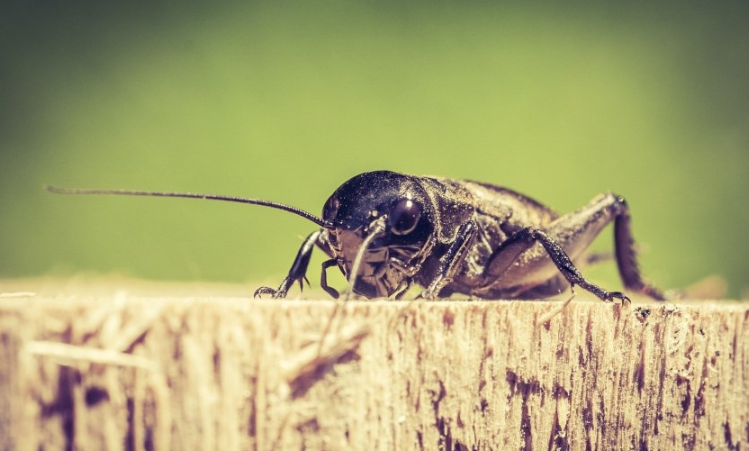 在uc上投放广告效果好吗?UC代理商哪家做的好? 在uc上投放广告效果好吗?UC代理商哪家做的好?