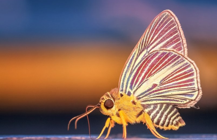 你知道uc怎么投放广告效果好吗?uc跑游戏直播效果怎么样? 你知道uc怎么投放广告效果好吗?uc跑游戏直播效果怎么样?