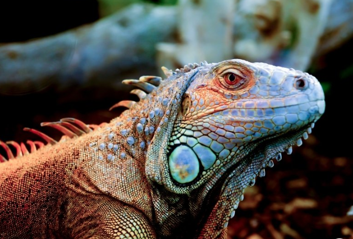 你知道uc怎么投放广告效果好吗?uc跑游戏直播效果怎么样? 你知道uc怎么投放广告效果好吗?uc跑游戏直播效果怎么样?