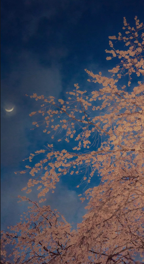 uc信息流广告代理商电话是多少?UC推广吊顶材料怎么收费? uc信息流广告代理商电话是多少?UC推广吊顶材料怎么收费?