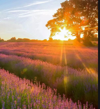 wps广告怎么收费?wps开户代理商电话是多少? wps广告怎么收费?wps开户代理商电话是多少?