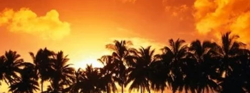 酷狗音乐有哪些广告投放案例? 广告展现位有哪些? 酷狗音乐有哪些广告投放案例? 广告展现位有哪些?