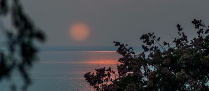 wps信息流广告怎么收费?WPS跑健身器材成本是多少? wps信息流广告怎么收费?WPS跑健身器材成本是多少?