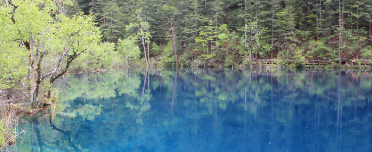 wps信息流开户怎么收费?wps信息流开户流程有哪些? wps信息流开户怎么收费?wps信息流开户流程有哪些?