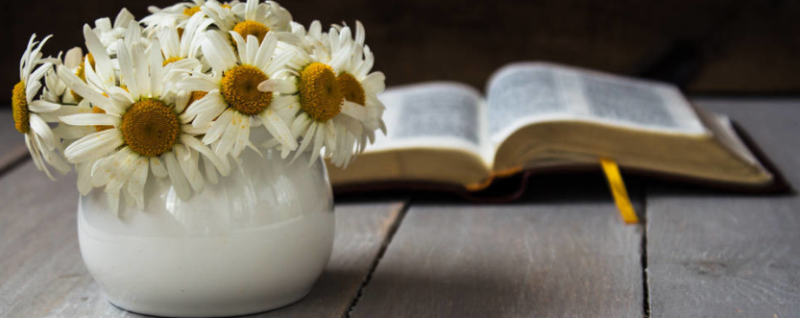 wps有哪些广告展现形式?wps现在跑剃须刀成本是多少? wps有哪些广告展现形式?wps现在跑剃须刀成本是多少?