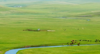 新浪推广广告效果好不好?推广广告全投放。 新浪推广广告效果好不好?推广广告全投放。