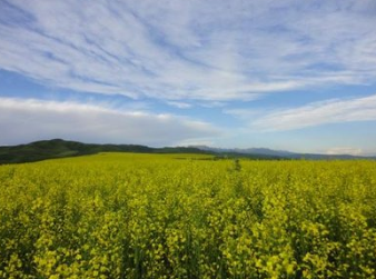 新浪开户投放有什么技巧?新浪信息流开户流程。 新浪开户投放有什么技巧?新浪信息流开户流程。