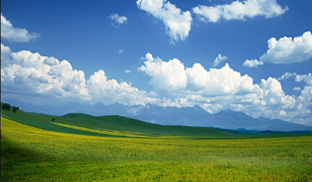 新浪开户投放有什么技巧?新浪信息流开户流程。 新浪开户投放有什么技巧?新浪信息流开户流程。