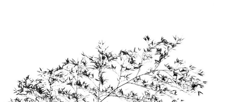 酷狗音乐信息流广告有哪些政策？信息流广告投放技巧有哪些？