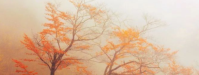 酷狗音乐跑汽车广告投放案例有哪些?广告展现位有哪些? 酷狗音乐跑汽车广告投放案例有哪些?广告展现位有哪些?