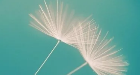 酷狗音乐广告投放技巧有哪些?酷狗音乐跑文具成本是多少? 酷狗音乐广告投放技巧有哪些?酷狗音乐跑文具成本是多少?