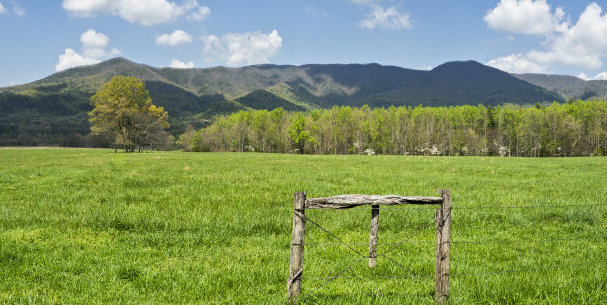 智慧树推广电话是多少?智慧树广告怎么收费? 智慧树推广电话是多少?智慧树广告怎么收费?
