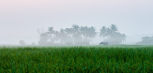 智慧树推广电话是多少?智慧树广告怎么收费? 智慧树推广电话是多少?智慧树广告怎么收费?