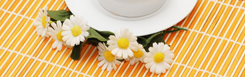 酷狗音乐现在跑啤酒返点多少？酷狗音乐开户有哪些投放技巧？